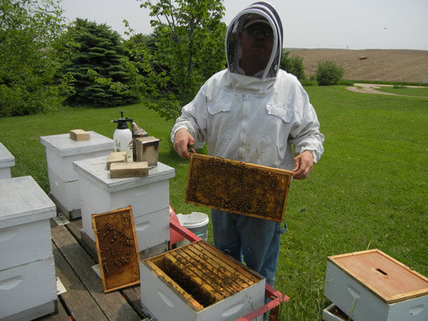 Honey gifts
